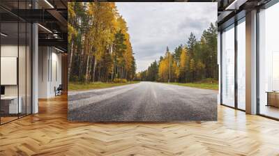 Beautiful background of the curve country asphalt highway in autumnal natural park. Wall mural