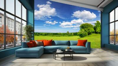 Beautiful panoramic background of the green field in natural park. Wall mural