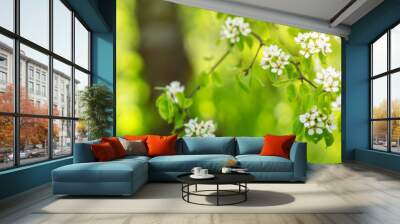 blurred plum tree background in bloom in spring Wall mural