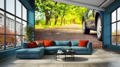 car on asphalt road in summer Wall mural