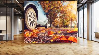 Car on asphalt road on autumnr day at park Wall mural