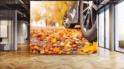 Car on asphalt road on autumnr day at park Wall mural