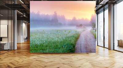 Country gravel road in fog in natural park in summer. Wall mural