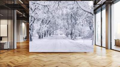 Country road in the natural park in winter day. Wall mural