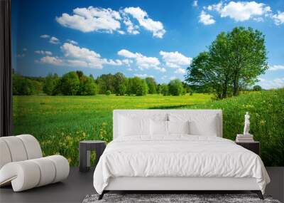 field with dandelions and blue sky Wall mural