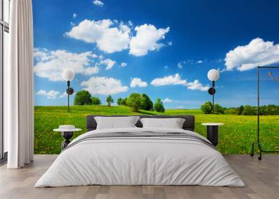 Field with dandelions and blue sky Wall mural