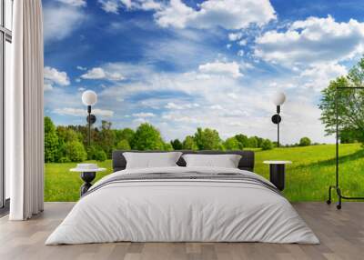 Field with dandelions and blue sky Wall mural