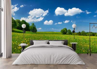 field with dandelions and blue sky Wall mural