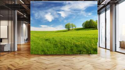 Field with dandelions and blue sky Wall mural