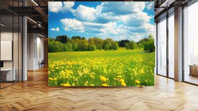 Field with dandelions and blue sky Wall mural