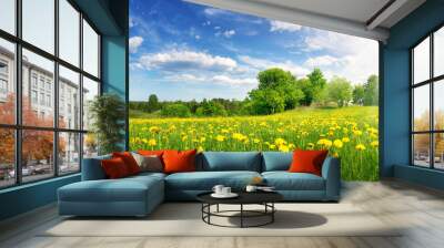 Field with dandelions and blue sky Wall mural