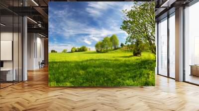 Field with yellow dandelions and blue sky Wall mural