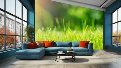 Fresh green grass background in sunny summer day in park Wall mural