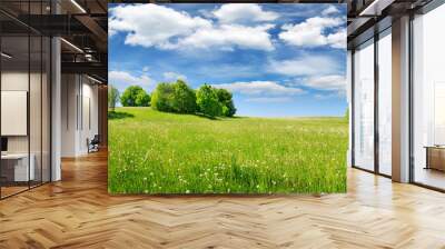 Green field panorama and blue sky with white clouds. Panoramic view to grass on the hill on sunny summer day Wall mural