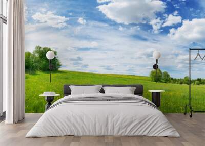 Green field with white and yellow dandelions outdoors in nature in summer Wall mural