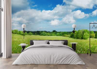 Green field with white dandelions and blue sky. Panoramic view to grass and flowers on the hill on sunny spring day Wall mural