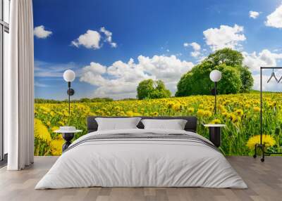 Green field with yellow dandelions and blue cloudly sky Wall mural