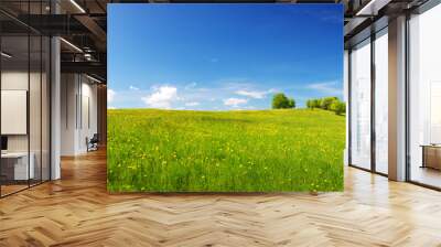 Green field with yellow dandelions and blue sky. Panoramic view to grass and flowers on the hill on sunny spring day Wall mural