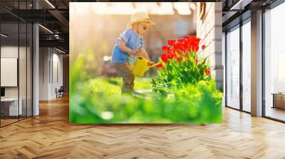 Little child walking near tulips on the flower bed in beautiful spring day Wall mural