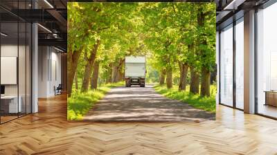 Lorry on asphalt road on spring day at park. Truck moving on alley in summer Wall mural