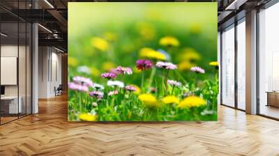 Meadow with lots of white and pink spring daisy flowers and yellow dandelions in sunny day Wall mural