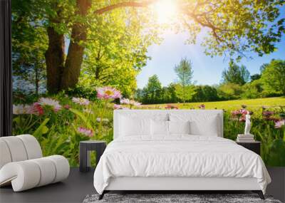 meadow with lots of white and pink spring daisy flowers in sunny day. nature landscape in estonia in Wall mural