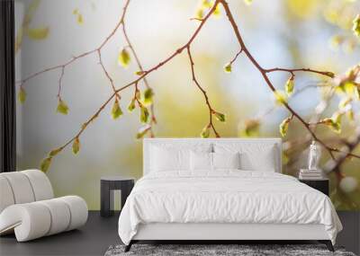 New buds in springtime with young leaves on green spring background. Wall mural