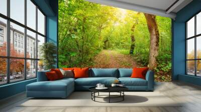 Pathway in the deciduous sunny park area in summer. Wall mural