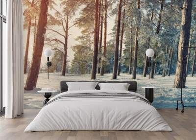 Pine trees covered with snow on frosty evening. Beautiful winter panorama Wall mural