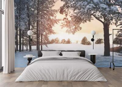 Pine trees covered with snow on frosty evening. Beautiful winter panorama Wall mural