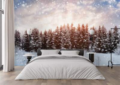 pine trees in winter landscape at sunset Wall mural