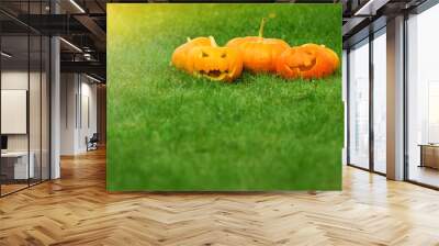 ripe pumpkins for halloween on green grass background Wall mural