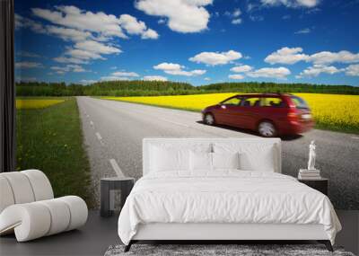 Road panorama on sunny summer day in countryside Wall mural