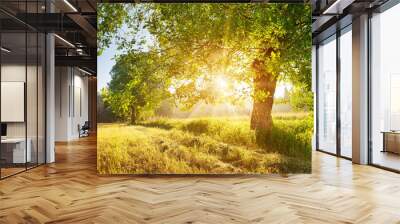 tree foliage in beautiful morning light with sunlight in summer Wall mural