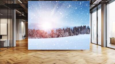 Trees in winter landscape in late evening in snowfall Wall mural