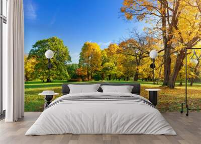 trees with multicolored leaves in the park Wall mural