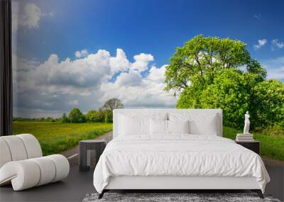 View of the asphalt road with beautiful trees and with field of fresh green grass and dandelions. Wall mural