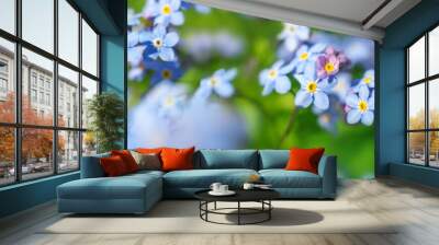 View of the blue spring flowers in the park Wall mural