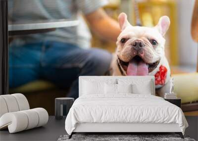 Asian man playing with his french bulldog in cafe at pets friendly shopping mall. Domestic dog and owner have fun outdoor lifestyle travel city on summer holiday vacation. Pet Humanization concept. Wall mural