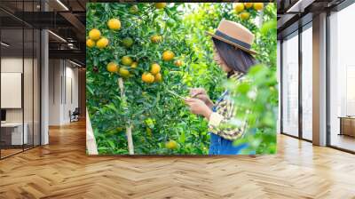 Smiling young beautiful asian woman farmer working in orange farm and using digital tablet with biotechnology examining orange tree plant for agriculture crop or food production industry development. Wall mural