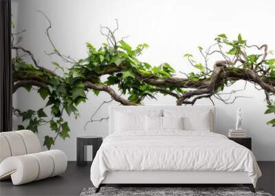 exotic jungle vine illustration on white background Wall mural