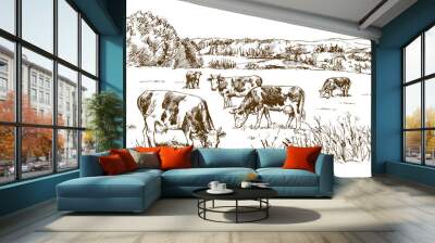 Cows grazing on meadow. Hand drawn illustration. Wall mural