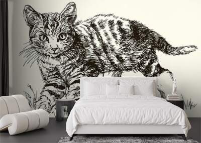 Portrait of cute cat isolated on white background Wall mural