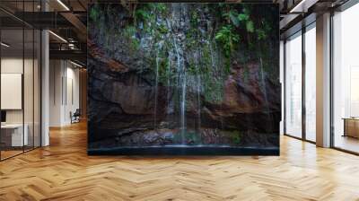 Madeira Levada walk 25 fountains waterfall  Wall mural