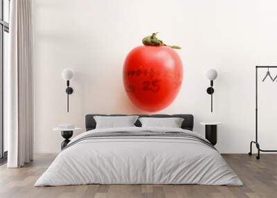 concept photo for time management; pomodoro clock, pomodoro timer, pomodoro tomato  Wall mural