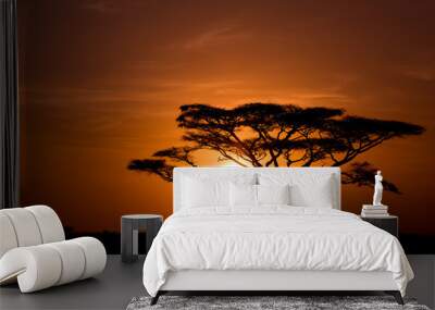 acacia tree against sunrise in the serengeti in tanzania Wall mural