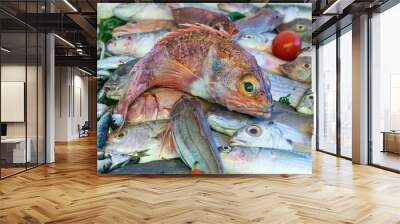 Stall at the Essaouira fish market with a variety of fresh seafood. Fishermen skillfully clean and prepare the catch, offering the coastal traditions that define Essaouira's culinary culture. Wall mural