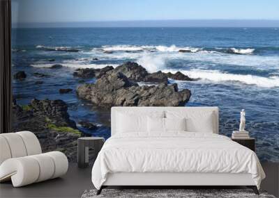 Waves crashing in high surf on the N. California coast Wall mural