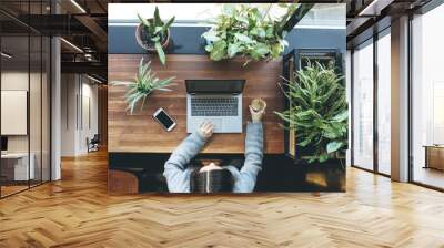 View from above. An adult girl uses a laptop. She is working or studying. There are many houseplants in pots on the table. Wall mural