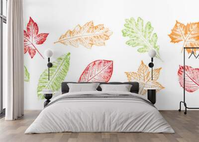 Autumn leaves assortment for the fall season. Colorful leaf set of oak leaf, maple leaf, chestnut leaf in vector outlines. Wall mural